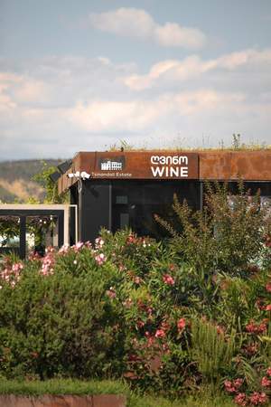 Tsinandali Estate ღვინო მაკეტი